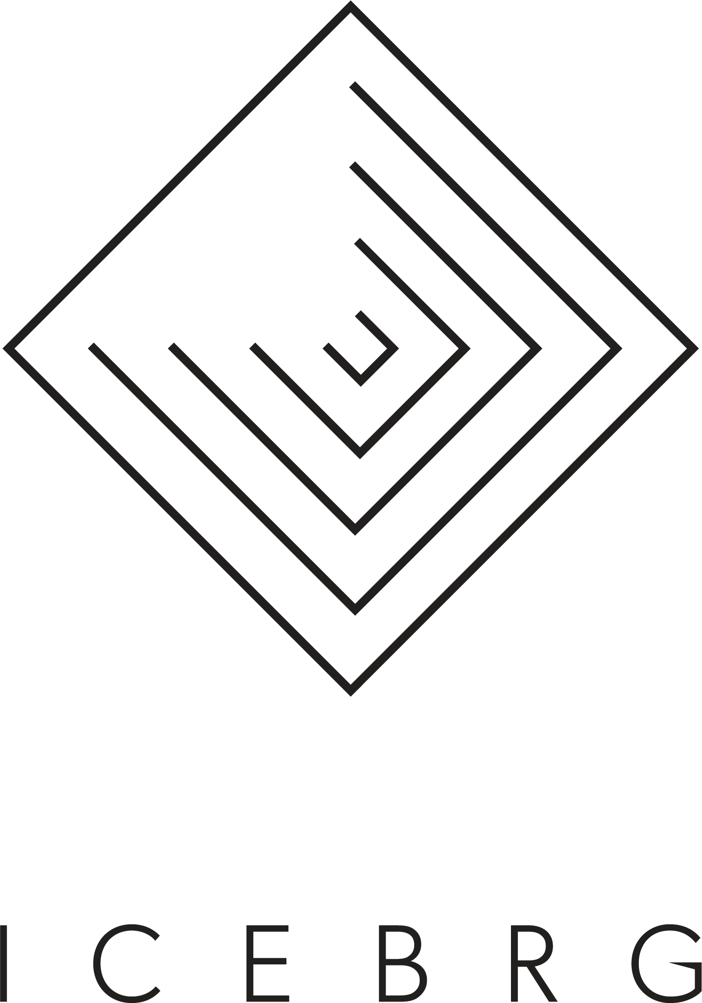 ICEBRG Logo